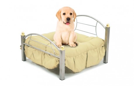 Cama para perro pequeño