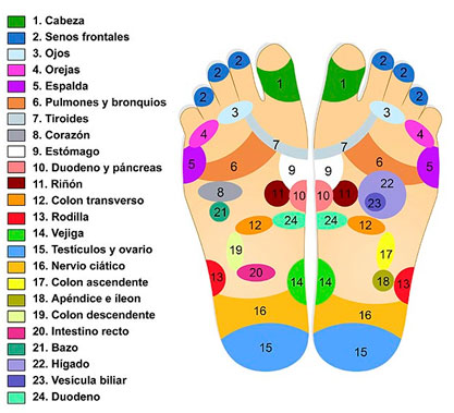 reflexologia