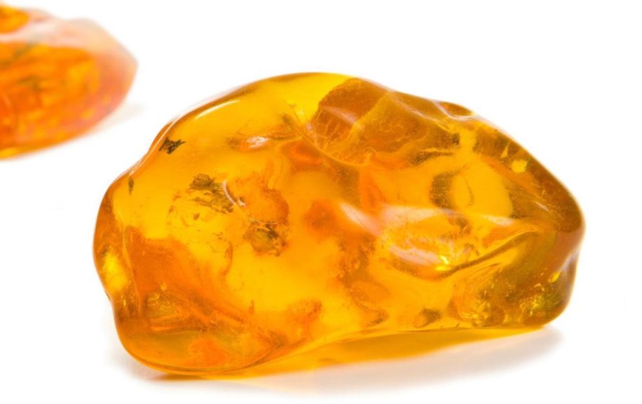 Ambar descubre todo sobre esta gema Guías de compra Ambar descubre todo sobre esta gema Guías de compra