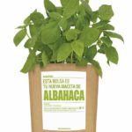 Albahaca