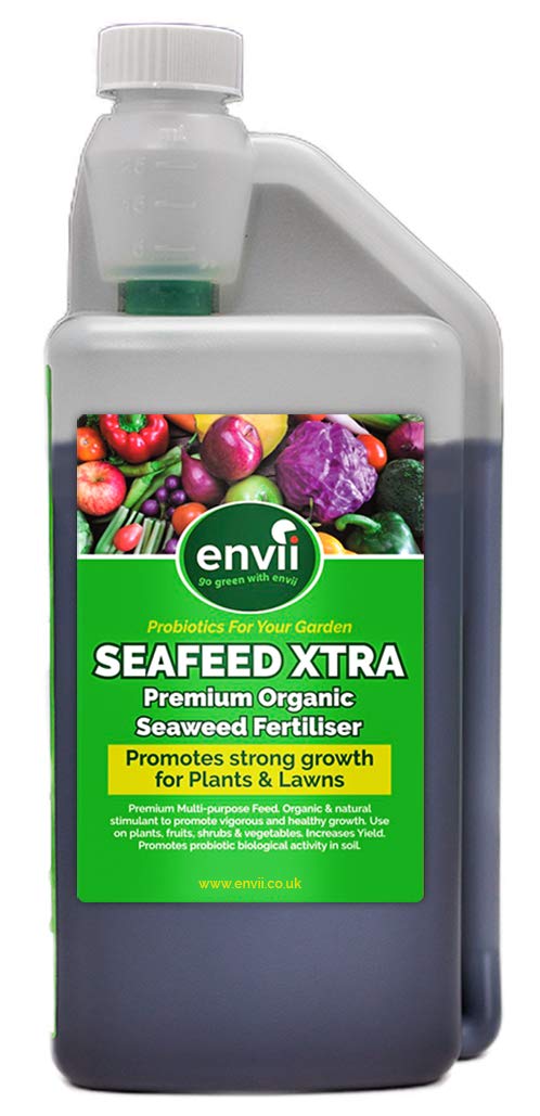 seafeed xtra