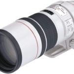 Canon EF 300mm f/4.0 L IS USM